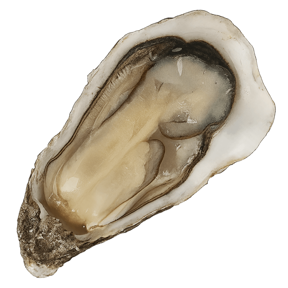 Spéciales Utah Beach - Calibro 3